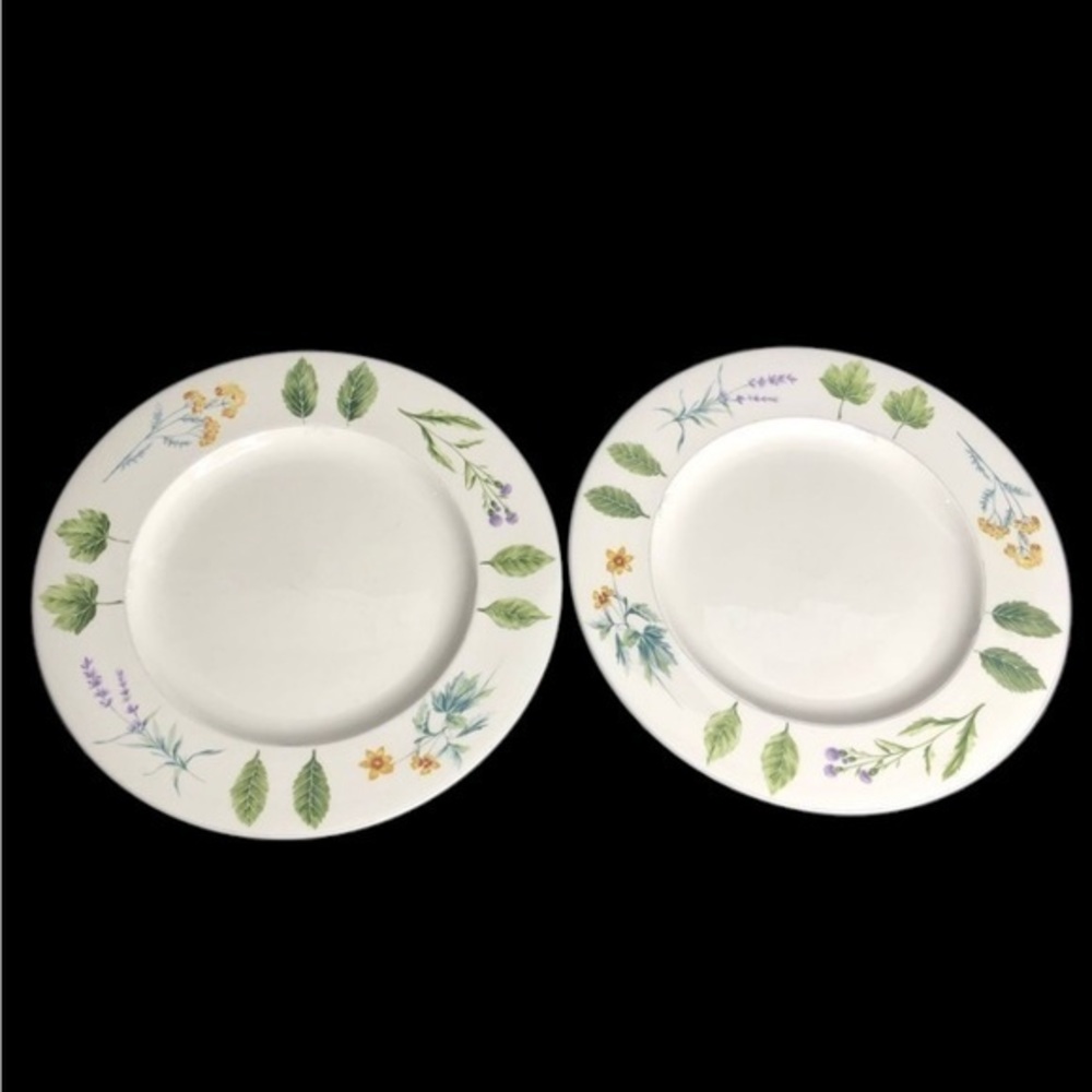 2 Mikasa Casual Classics Natures Harmony 10 7/8” Dinner Plates pre-owned